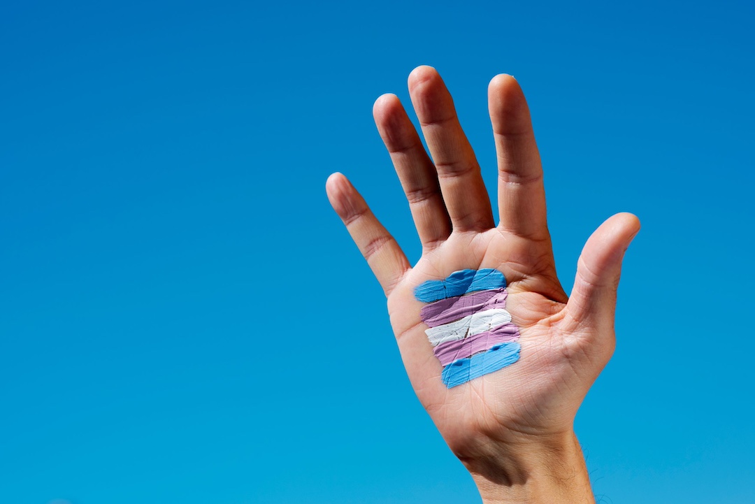 Mano alzada con la bandera transgénero pintada
